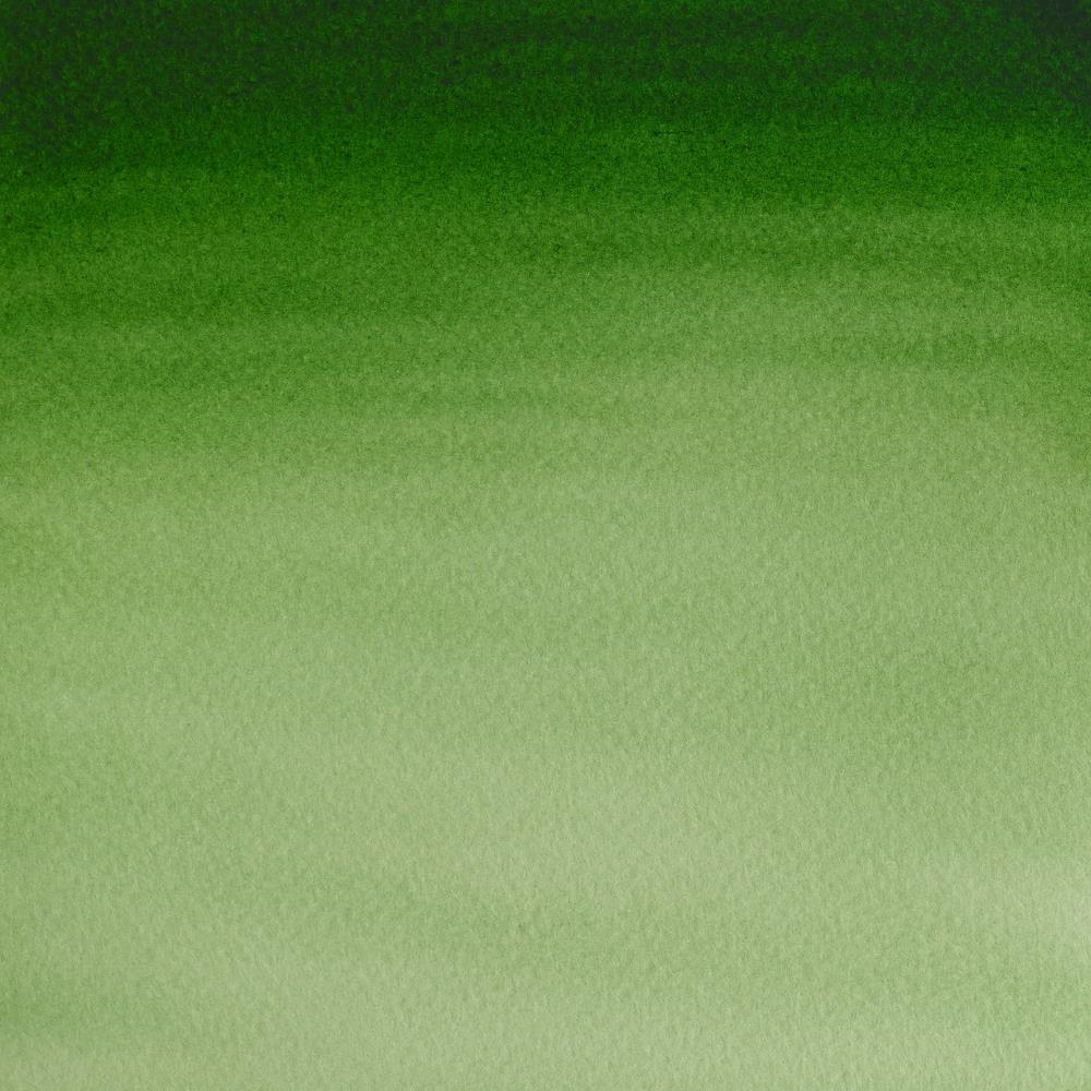 Winsor & Newton Cotman Sulu Boya 8ml Hooker’s Green Light 314