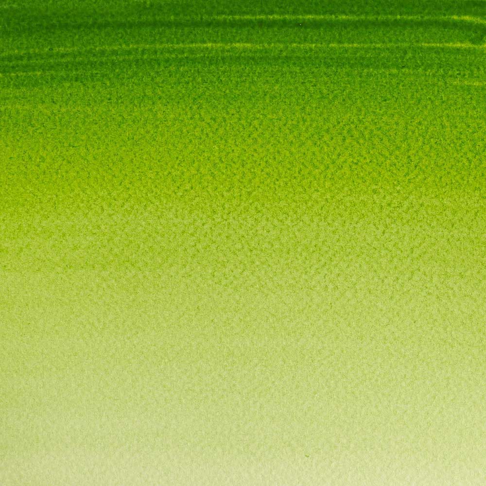Winsor & Newton Cotman Sulu Boya 8ml Sap Green 599