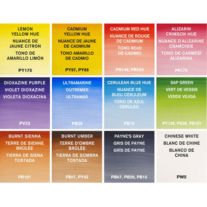 Winsor & Newton Cotman Field Box - Kır Tipi (12 x Yarım Tablet Sulu Boya Seti)