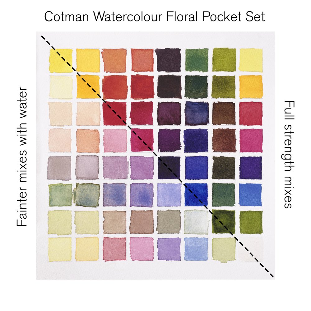 Winsor & Newton Cotman Çiçek Seti (8 x Yarım Tablet Suluboya Seti) + Fırça