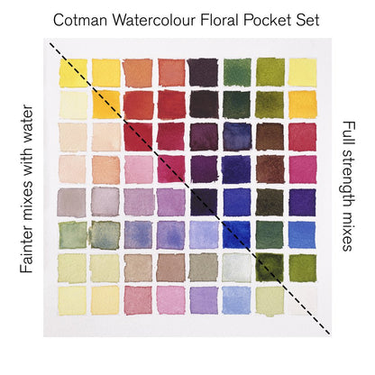 Winsor & Newton Cotman Çiçek Seti (8 x Yarım Tablet Suluboya Seti) + Fırça