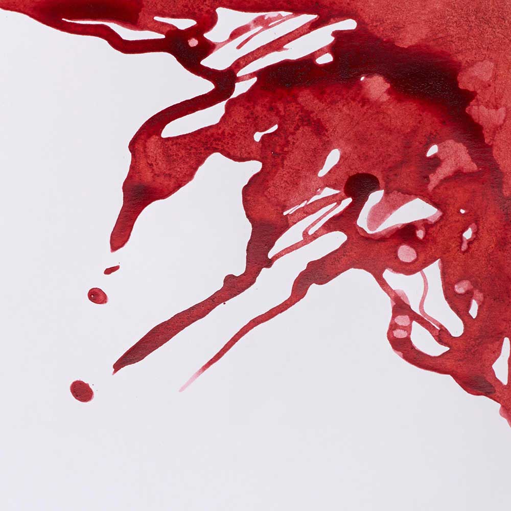 Winsor & Newton Drawing Ink 14ml Brick Red 040