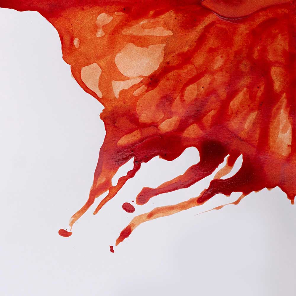 Winsor & Newton Drawing Ink 14ml Burnt Sienna 074