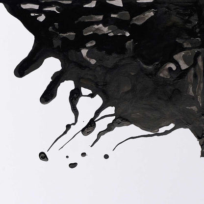 Winsor & Newton Drawing Ink 30ml Black 030