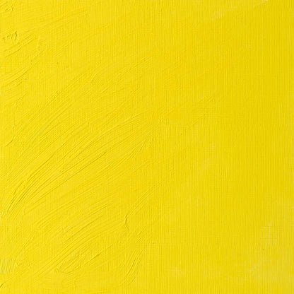 Winsor & Newton Artists' Yağlı Boya 37ml Bismuth Yellow 025 S.4