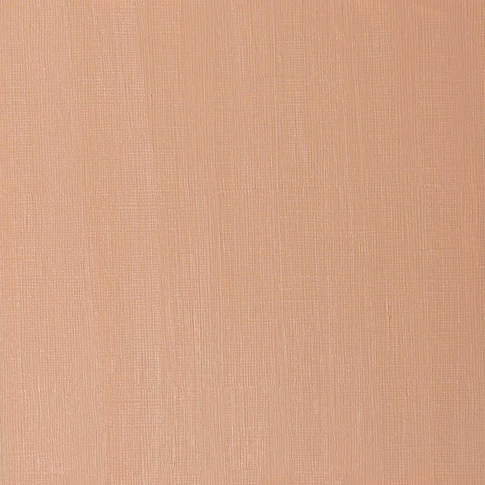 Winsor & Newton Artists' Yağlı Boya 37ml Burnt Sienna 074 S.1