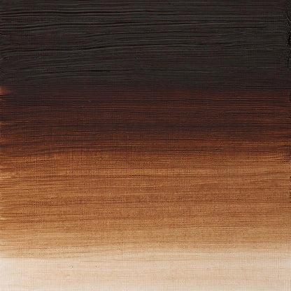 Winsor & Newton Artists' Yağlı Boya 37ml Burnt Umber 076 S.1