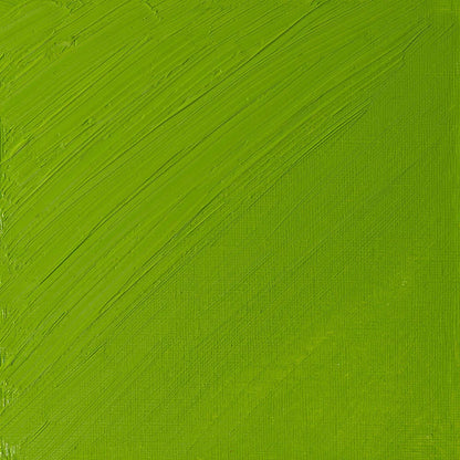 Winsor & Newton Artists' Yağlı Boya 37ml Cadmium Green Pale 084 S.4