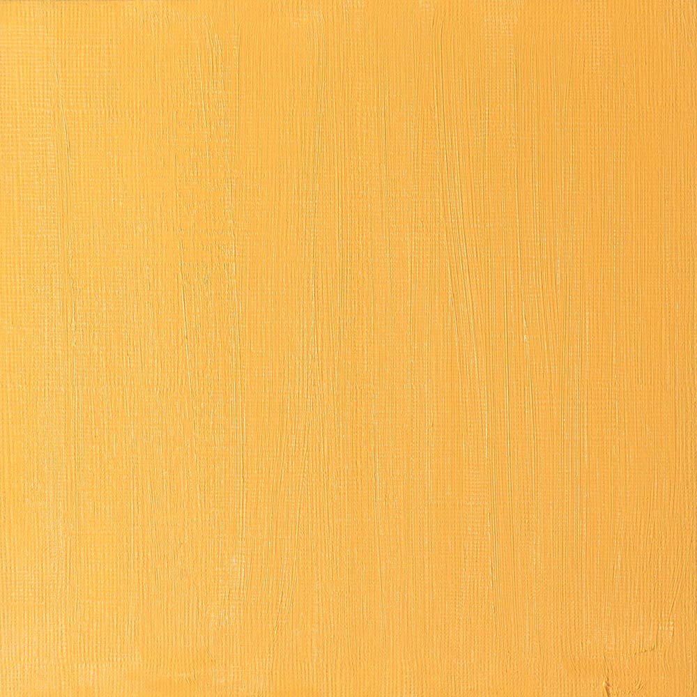 Winsor & Newton Artists' Yağlı Boya 37ml Cadmium Yellow Deep 111 S.4