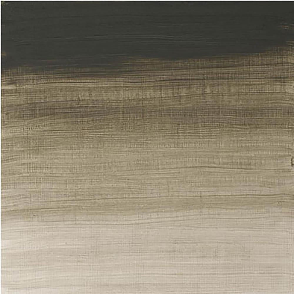 Winsor & Newton Artists' Yağlı Boya 37ml Davy’s Gray 217 S.2