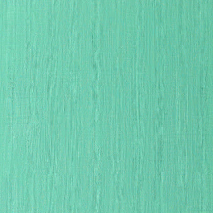 Winsor & Newton Artists' Yağlı Boya 37ml Permanent Green 481 S.2