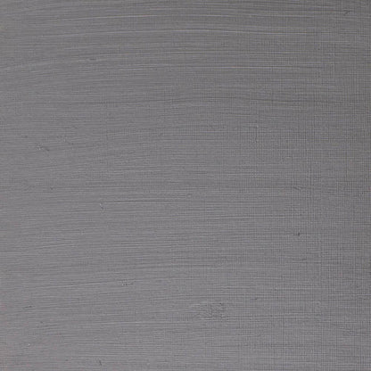 Winsor & Newton Artists' Yağlı Boya 37ml Pewter 511 S.2
