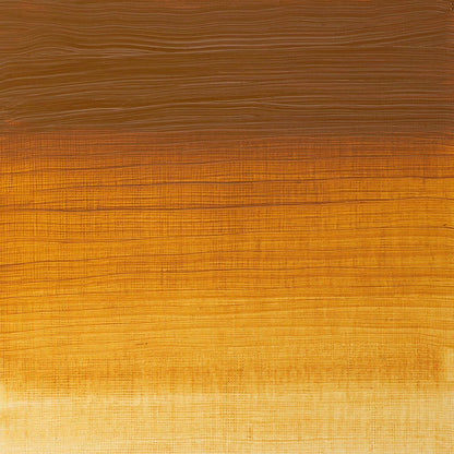 Winsor & Newton Artists' Yağlı Boya 37ml Raw Sienna 552 S.1