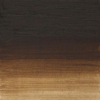 Winsor & Newton Artists' Yağlı Boya 37ml Raw Umber 554 S.1