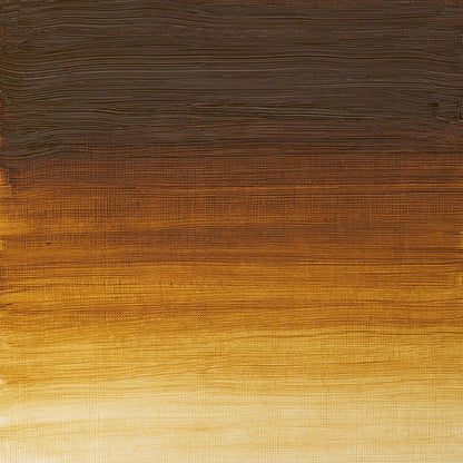 Winsor & Newton Artists' Yağlı Boya 37ml Raw Umber Light 557 S.1
