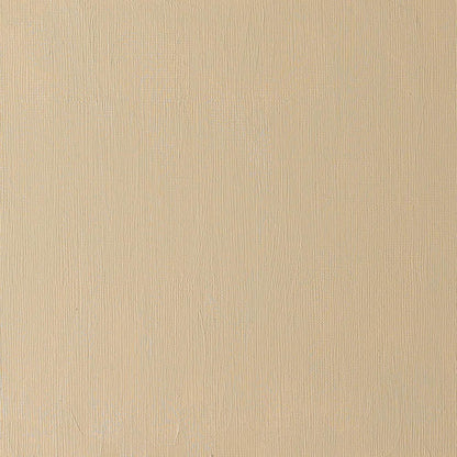 Winsor & Newton Artists' Yağlı Boya 37ml Raw Umber Light 557 S.1