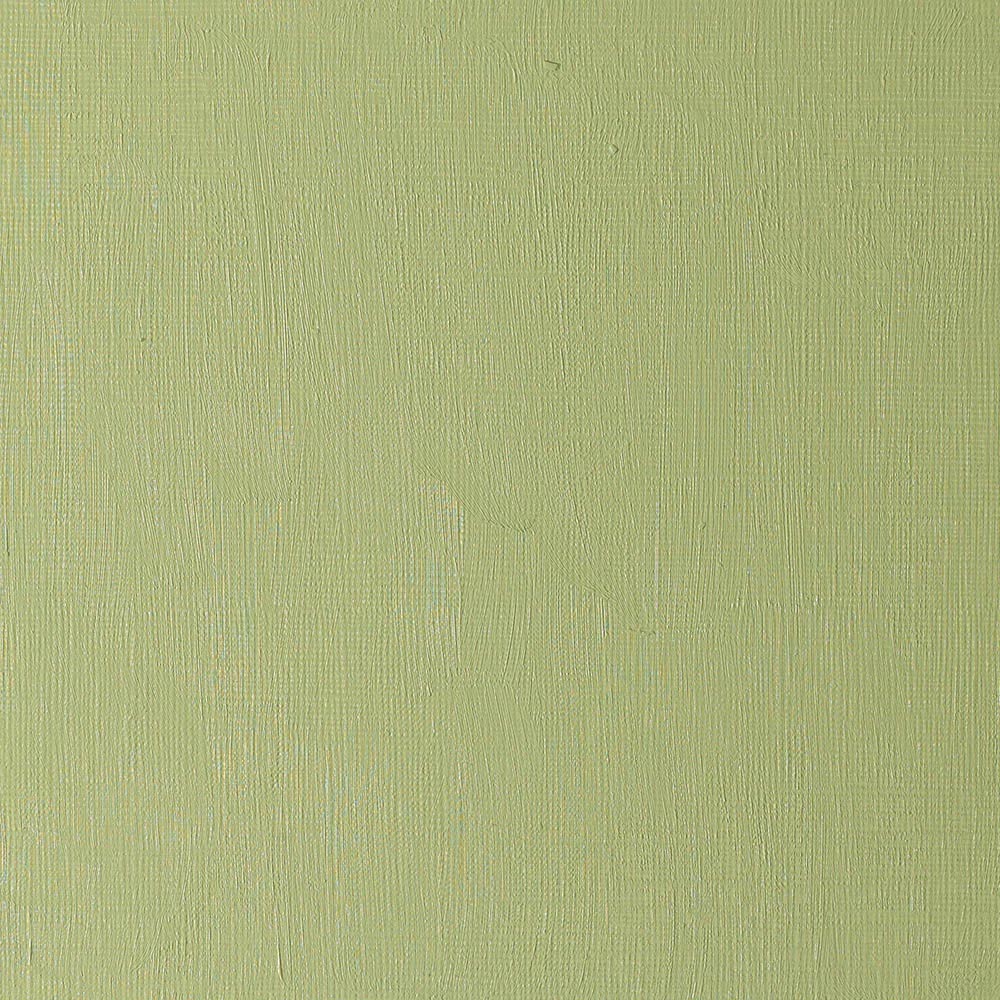 Winsor & Newton Artists' Yağlı Boya 37ml Sap Green 599 S.2