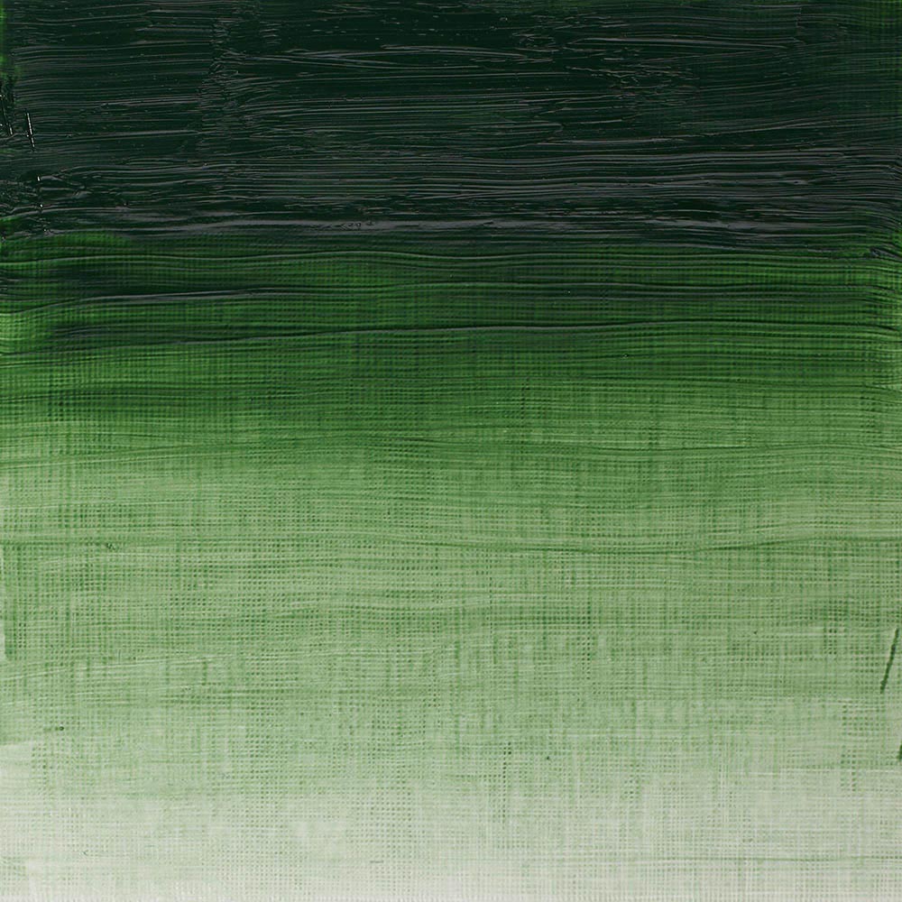 Winsor & Newton Artists' Yağlı Boya 37ml Terre Verte 637 S.1