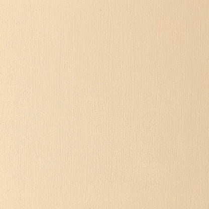 Winsor & Newton Artists' Yağlı Boya 37ml Transparent Gold Ochre 646 S.2