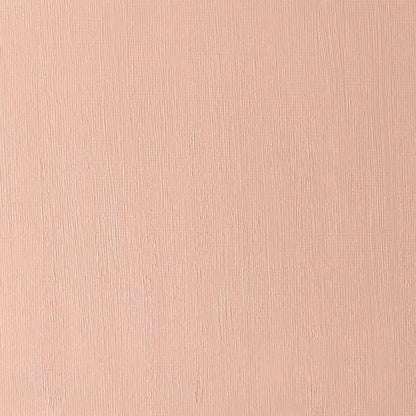 Winsor & Newton Artists' Yağlı Boya 37ml Transparent Red Ochre 647 S.1