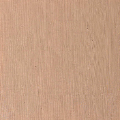 Winsor & Newton Artists' Yağlı Boya 37ml Transparent Brown Oxide 648 S.1