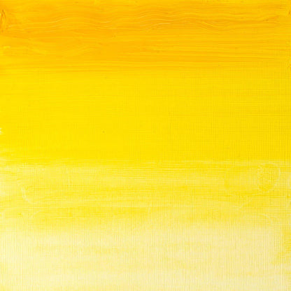 Winsor & Newton Artists' Yağlı Boya 37ml Transparent Yellow 653 S.4