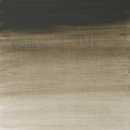 Winsor & Newton Artists' Yağlı Boya 200ml Davy’s Gray 217 S.2