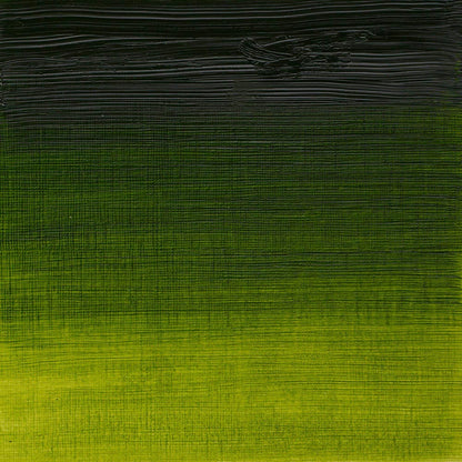 Winsor & Newton Artists' Yağlı Boya 200ml Sap Green 599 S.2