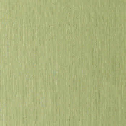 Winsor & Newton Artists' Yağlı Boya 200ml Sap Green 599 S.2