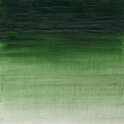 Winsor & Newton Artists' Yağlı Boya 200ml Terre Verte 637 S.1