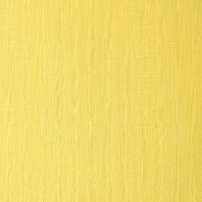 Winsor & Newton Winton Yağlı Boya 37ml Cadmium Yellow Pale Hue 119