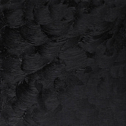 Winsor & Newton Winton Yağlı Boya 37ml Lamp Black 337