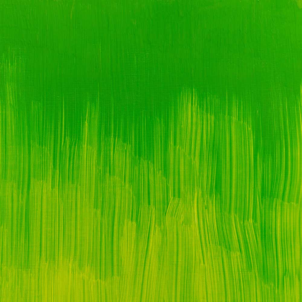 Winsor & Newton Winton Yağlı Boya 37ml Phthalo Yellow Green 403