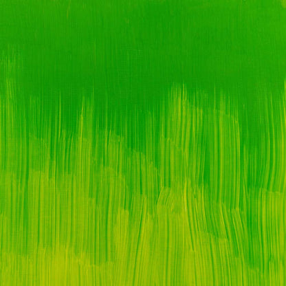 Winsor & Newton Winton Yağlı Boya 37ml Phthalo Yellow Green 403