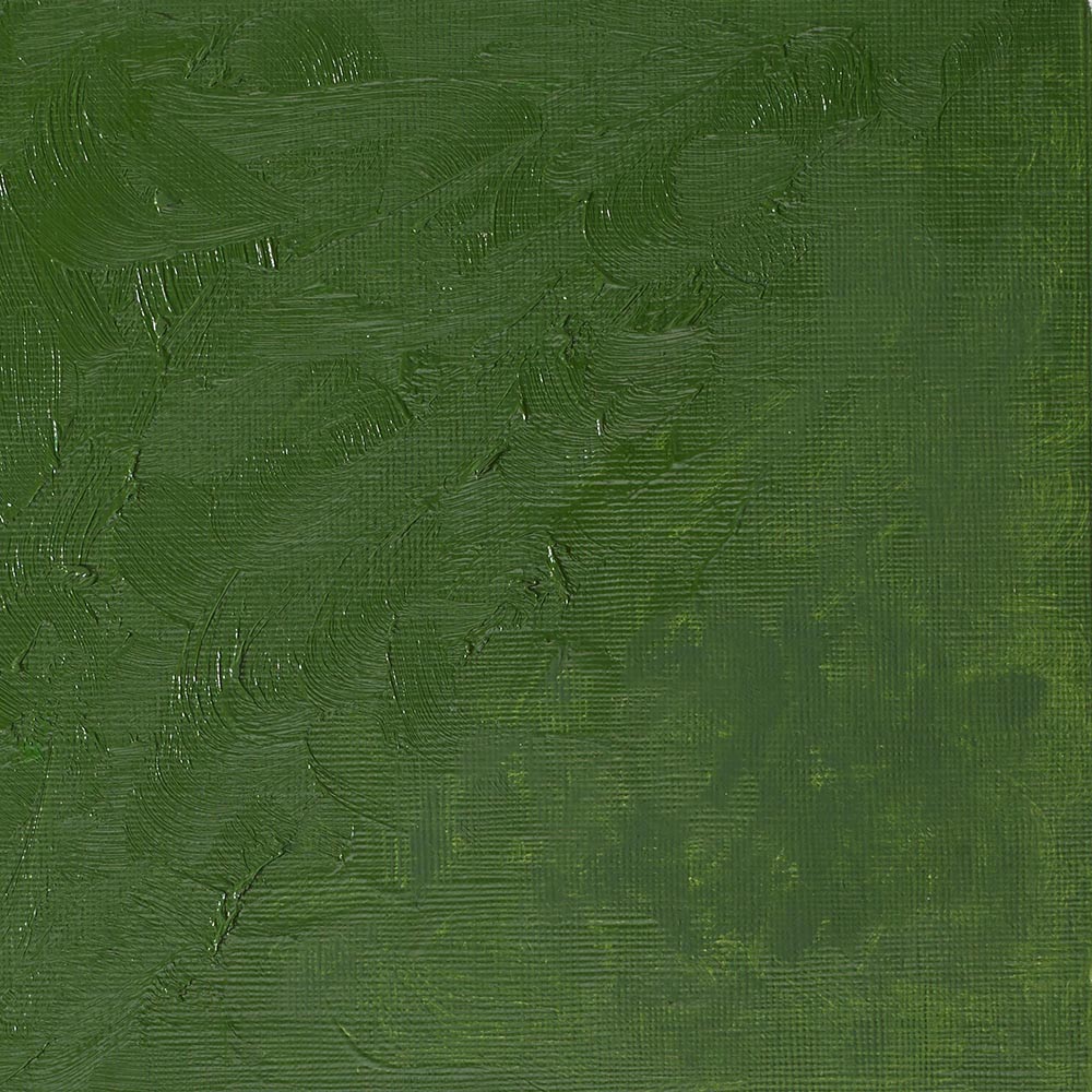 Winsor & Newton Winton Yağlı Boya 37ml Oxide Of Chromium 459