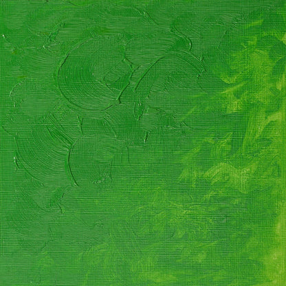 Winsor & Newton Winton Yağlı Boya 37ml Permanent Green Light 483