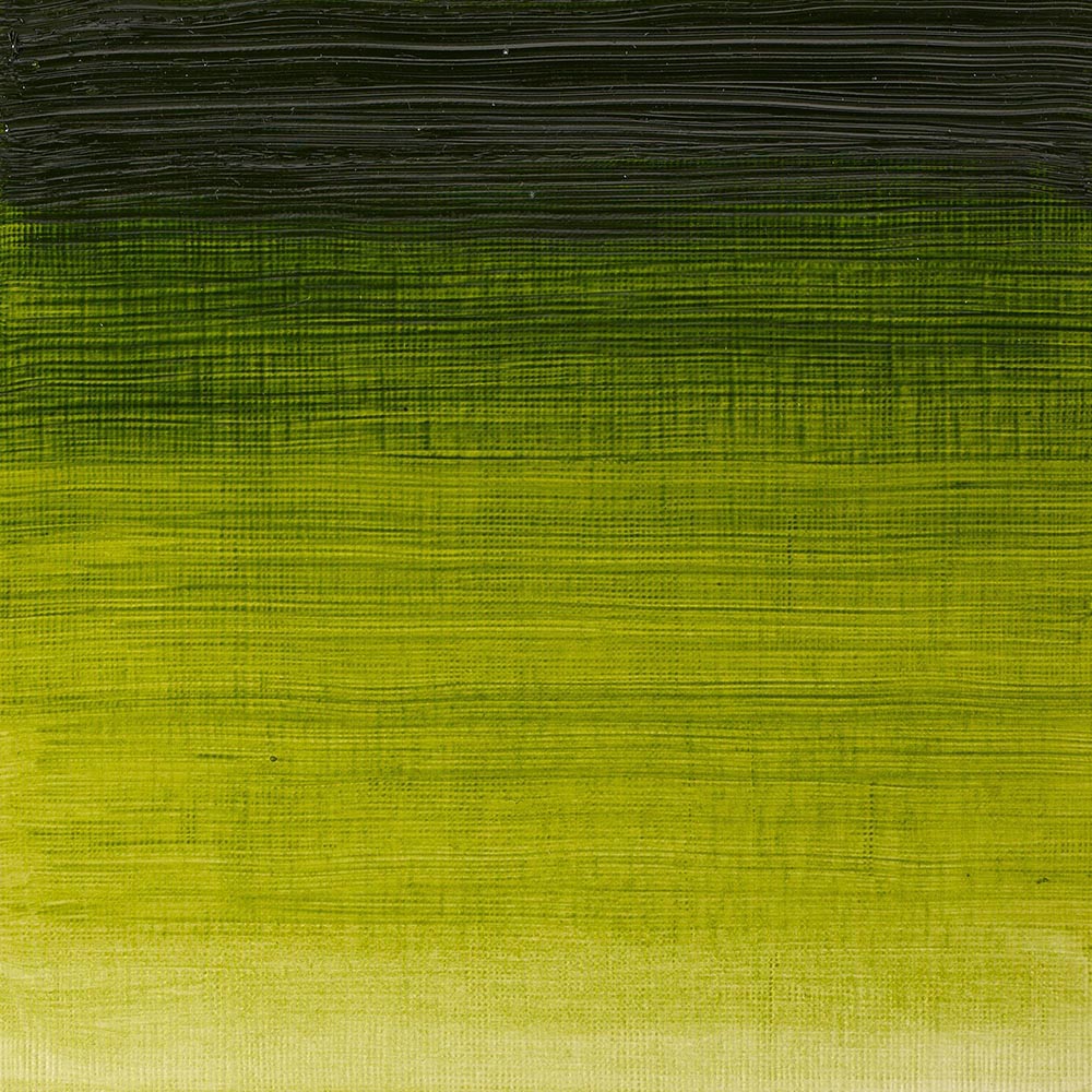 Winsor & Newton Winton Yağlı Boya 37ml Sap Green 599