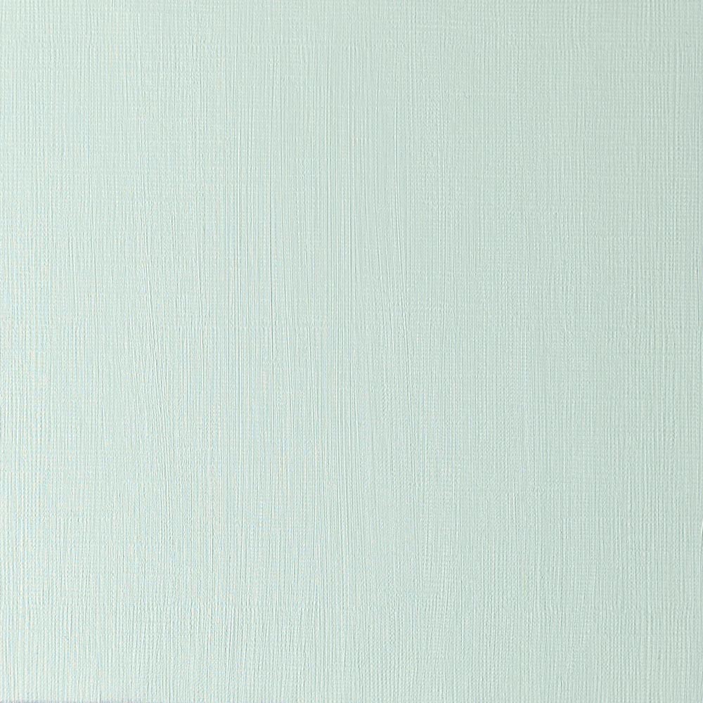 Winsor & Newton Winton Yağlı Boya 37ml Terre Verte 637