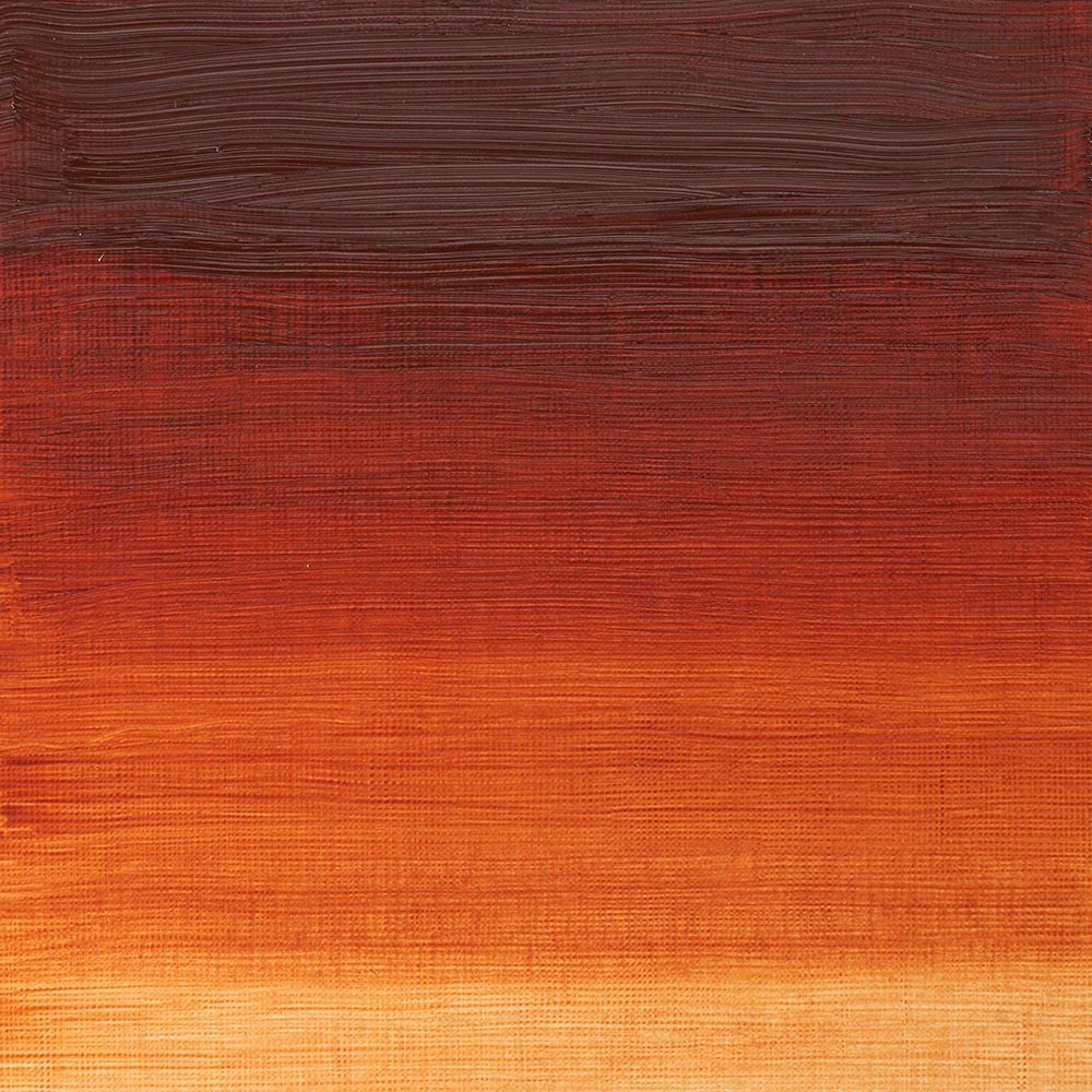 Winsor & Newton Winton Yağlı Boya 200ml Burnt Sienna 074
