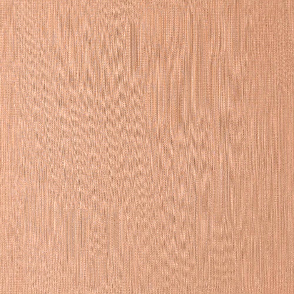 Winsor & Newton Winton Yağlı Boya 200ml Burnt Sienna 074