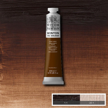 Winsor & Newton Winton Yağlı Boya 200ml Burnt Umber 076