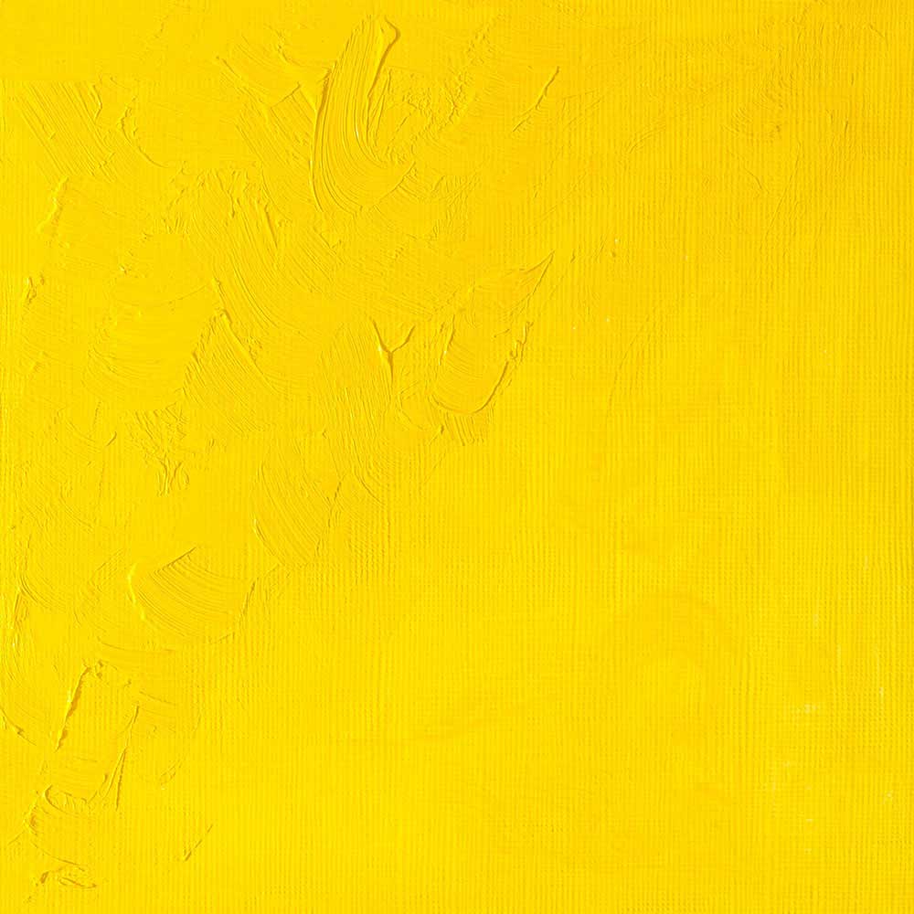 Winsor & Newton Winton Yağlı Boya 200ml Cadmium Yellow Light 113
