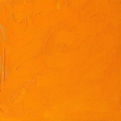 Winsor & Newton Winton Yağlı Boya 200ml Cadmium Yellow Deep Hue 115