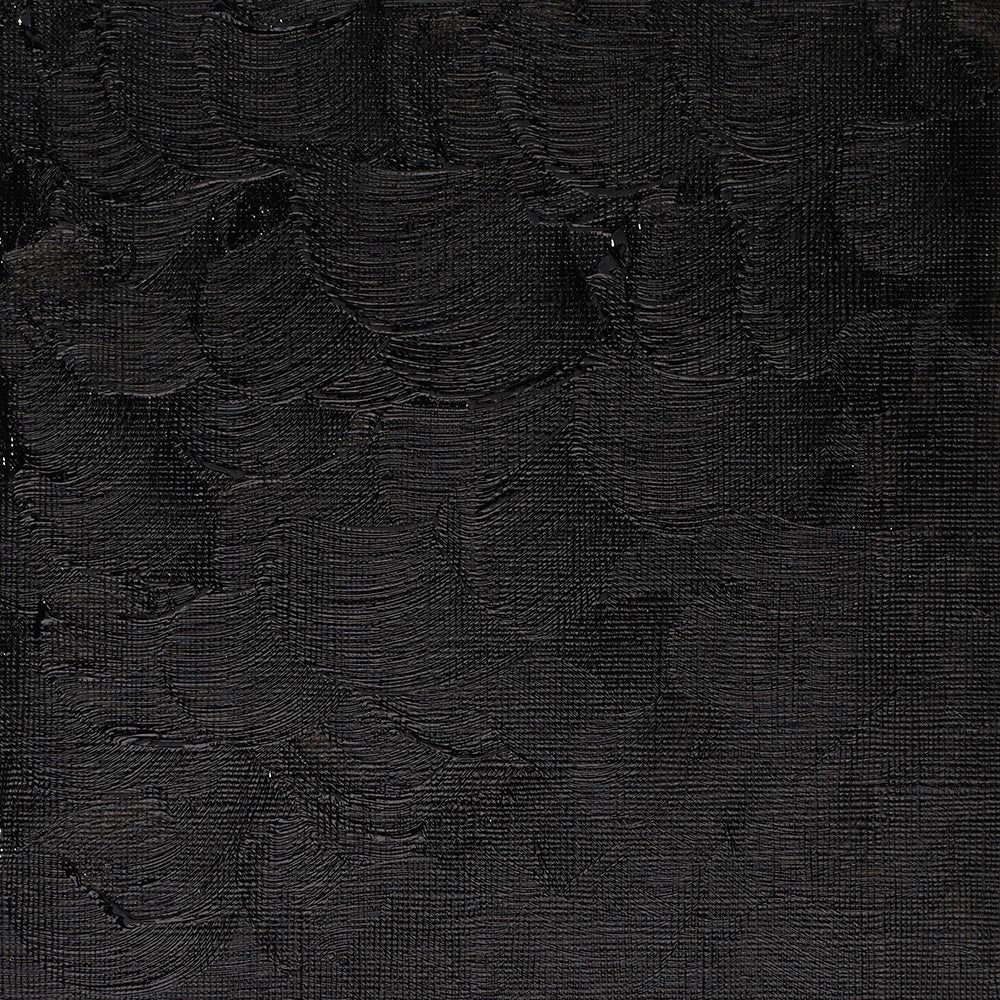 Winsor & Newton Winton Yağlı Boya 200ml Ivory Black 331