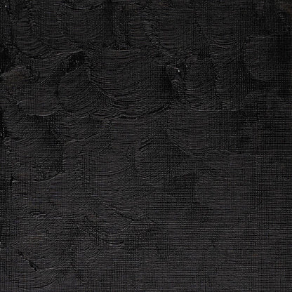 Winsor & Newton Winton Yağlı Boya 200ml Ivory Black 331