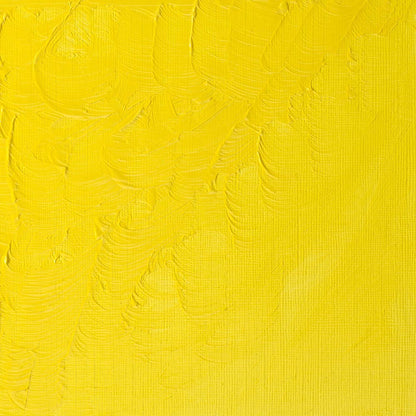 Winsor & Newton Winton Yağlı Boya 200ml Lemon Yellow Hue 346