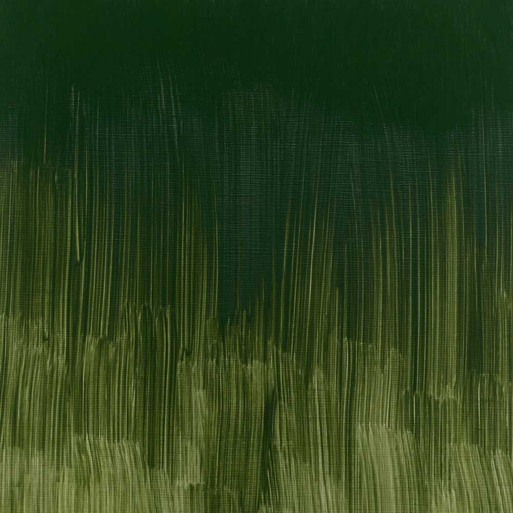 Winsor & Newton Winton Yağlı Boya 200ml Dark Verdigris 405