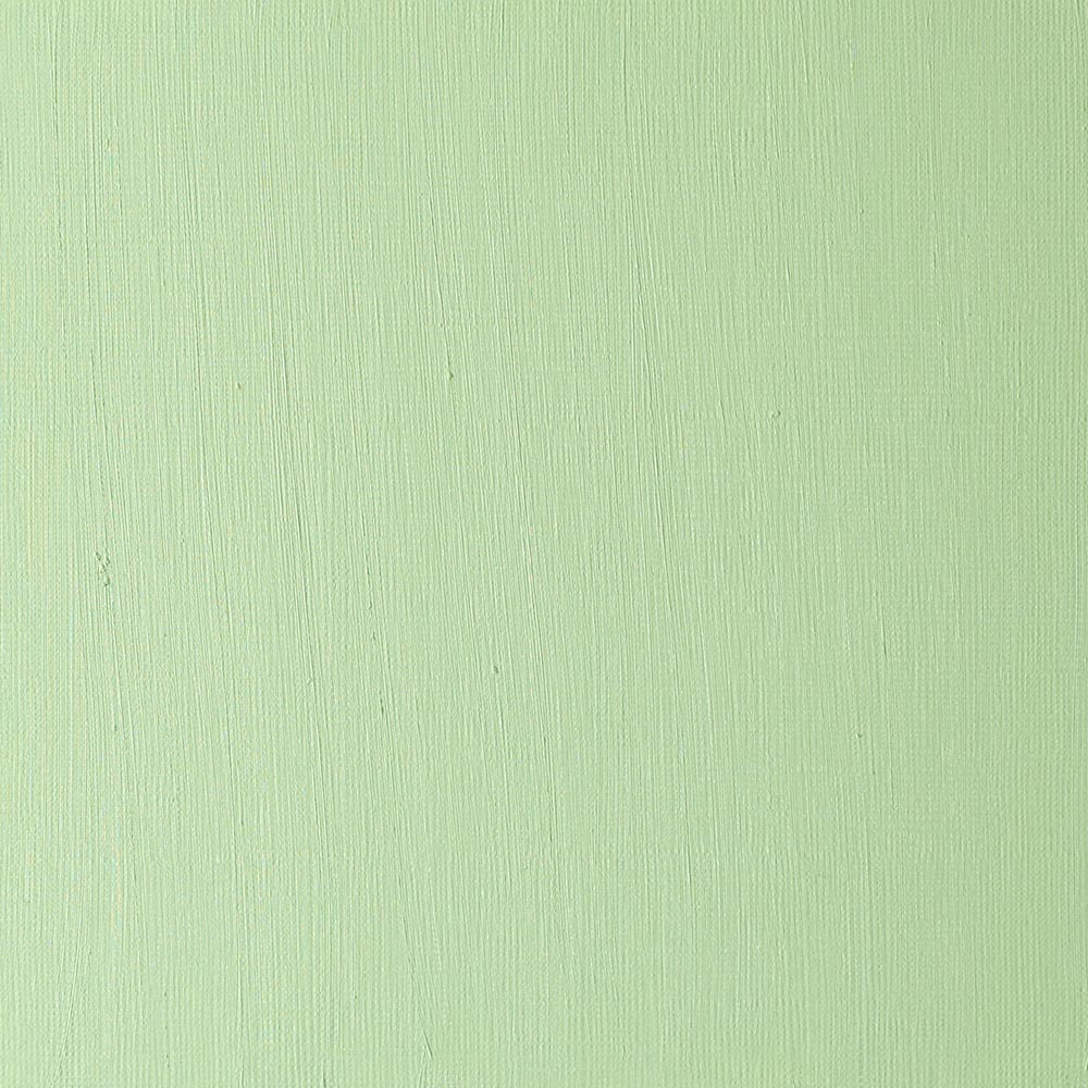 Winsor & Newton Winton Yağlı Boya 200ml Permanent Green Light 483