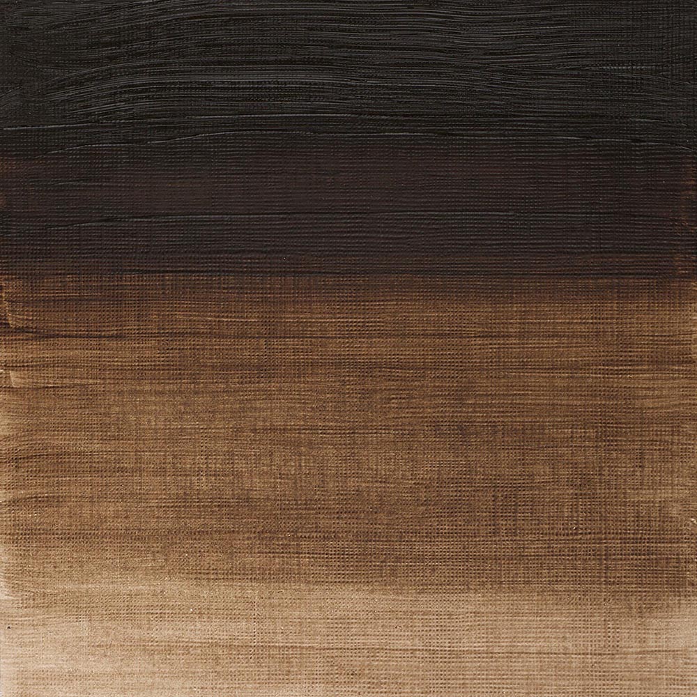 Winsor & Newton Winton Yağlı Boya 200ml Raw Umber 554