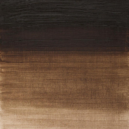 Winsor & Newton Winton Yağlı Boya 200ml Raw Umber 554